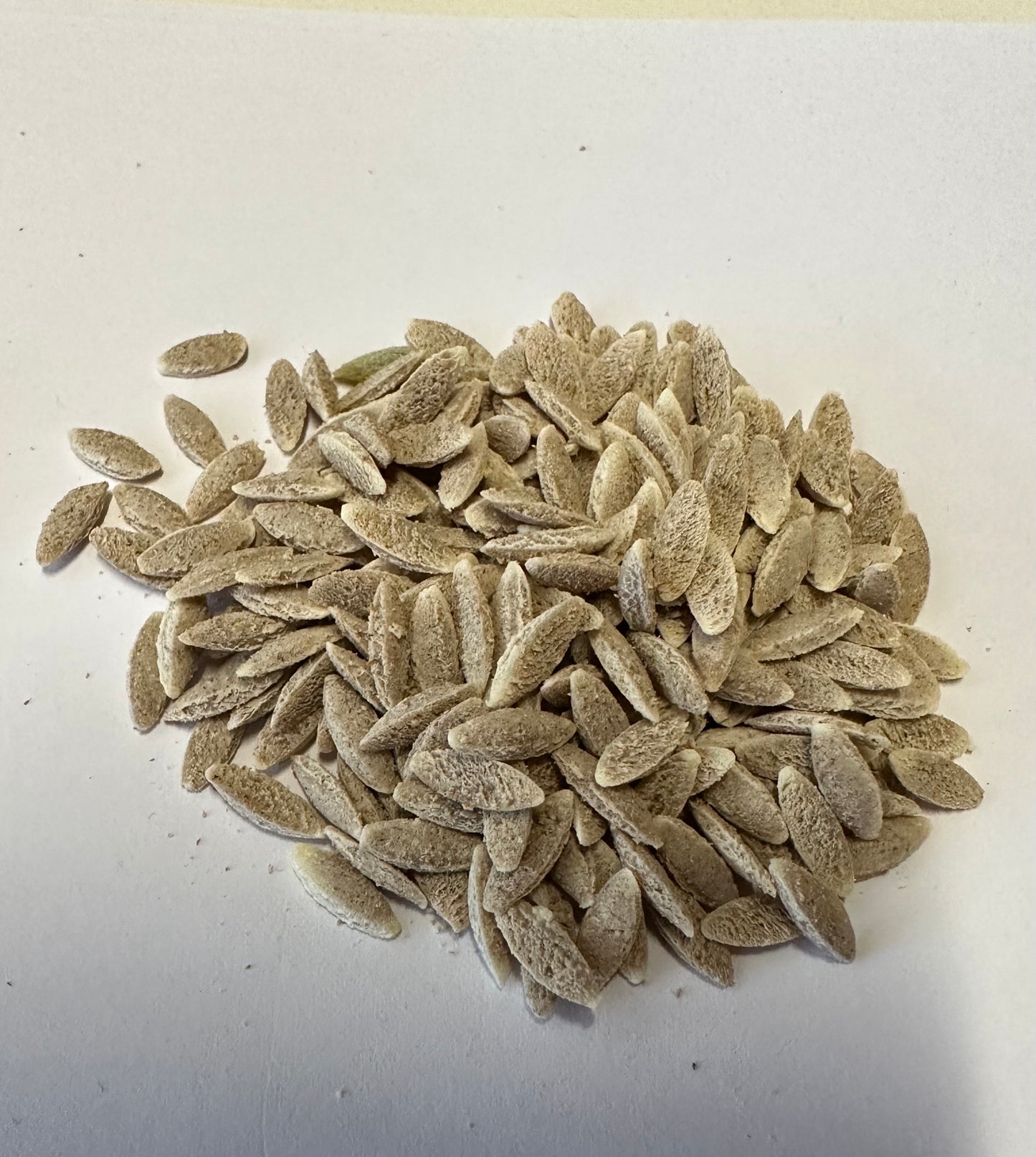 Pastine Bulk 5Kg Paper Bags Line