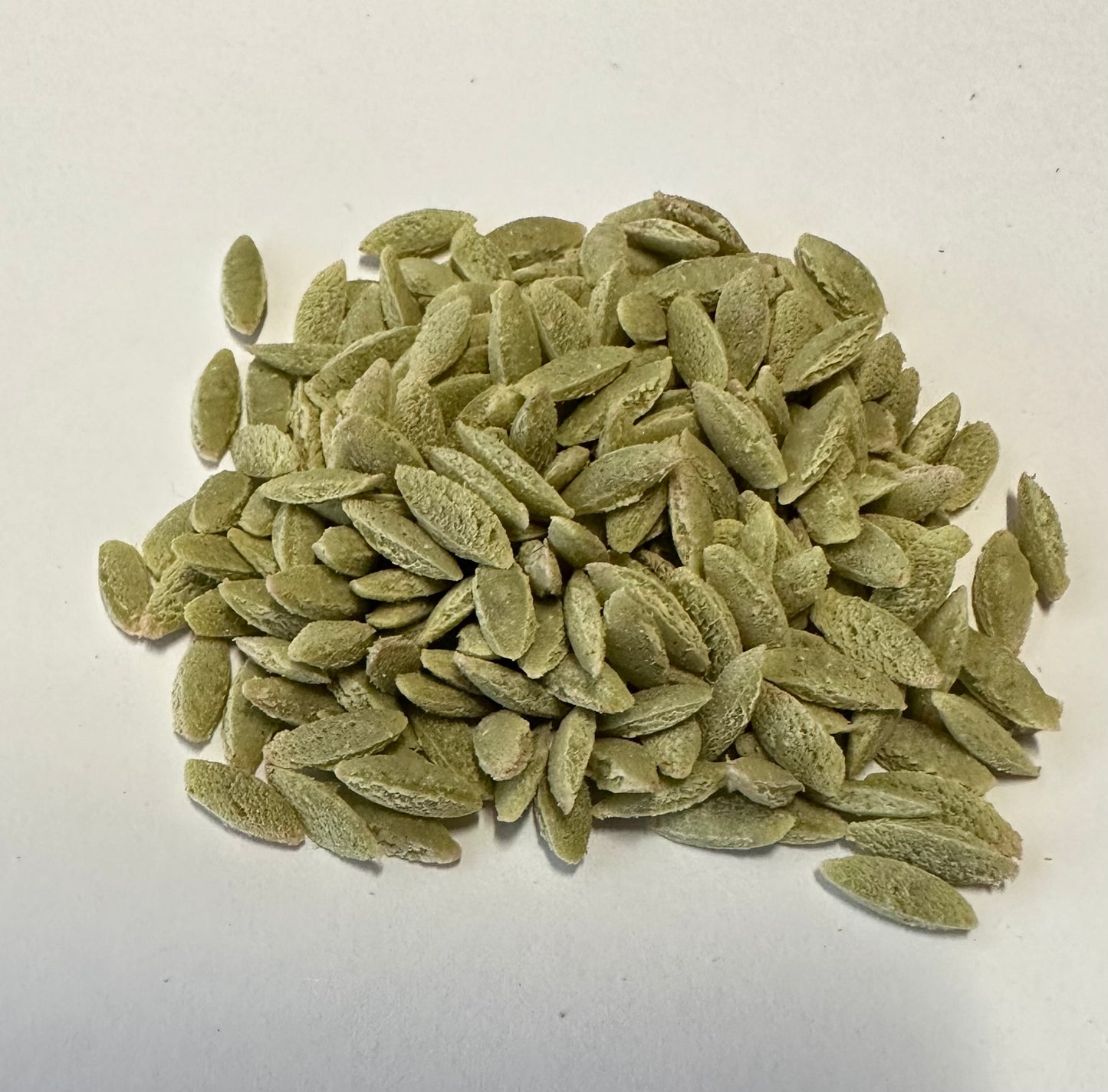 Pastine Bulk 5Kg Paper Bags Line